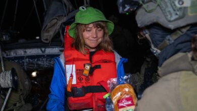 The image of Swedish climate activist Greta Thunberg.