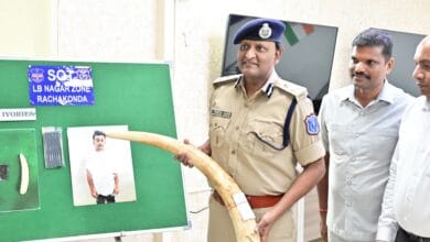 Andhra man caught for smuggling elephant ivory