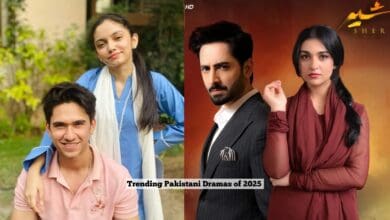 Pakistani dramas 2025