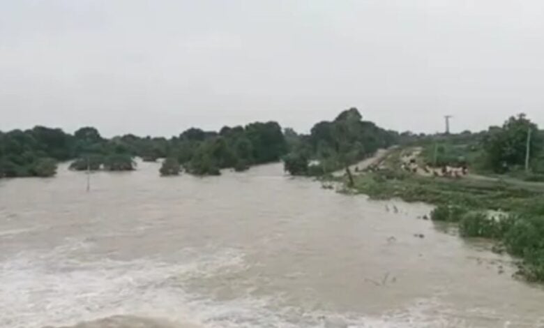 Ajmer reels from waterlogging