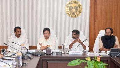 Telangana Dy CM orders swift relocation of polluting industries beyond ORR