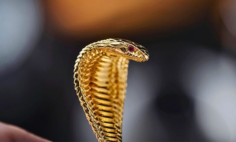 Close up photo of a cobra for a story of toddler biting a cobra to death in Bihar
