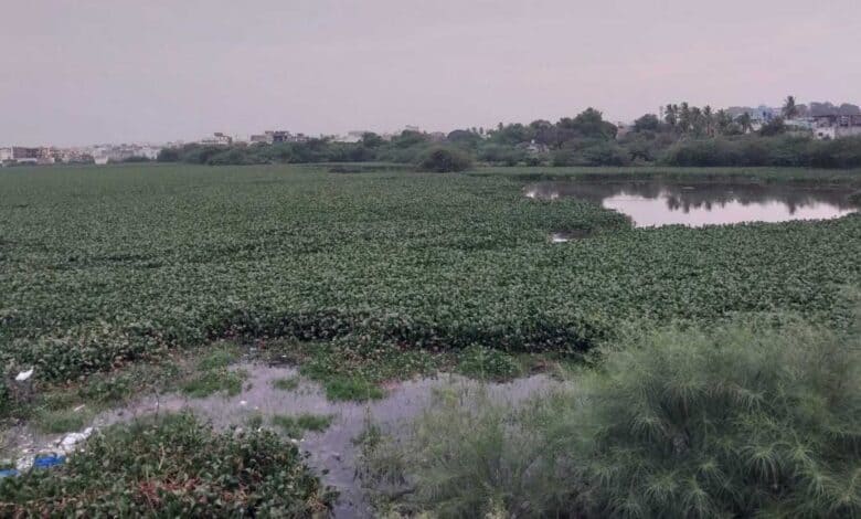 Gurram Cheruvu reduced to polluted water body