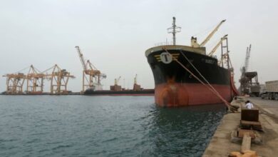 A large cargo ship docked at Hodeidah port, with cranes and other ships in the background, and a worker standing on the dock