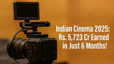 Indian box office report