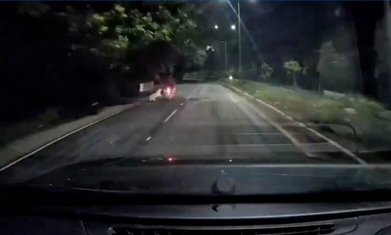 Leopard attack in Tirumala