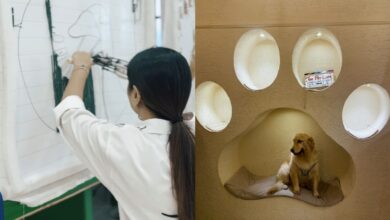 6 Unique cafes in Hyderabad to celebrate Friendship Day 2025