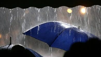 Telangana officials put on high alert due to incessant rains across the state.