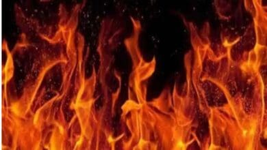 A representational image of fire