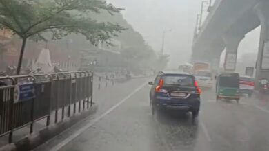 Hyderabad rains