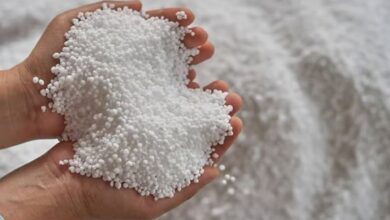 Farmers continue to suffer due to shortage or urea in Telangana.