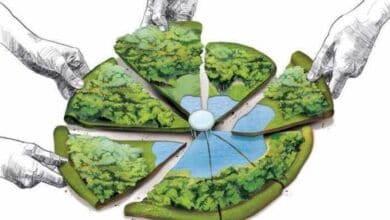 Social activist Dr Lubna Sarwath writes to Karimnagar collector, uring the latter to restore 17 guntas of government land encroached and sold by land grabbers.