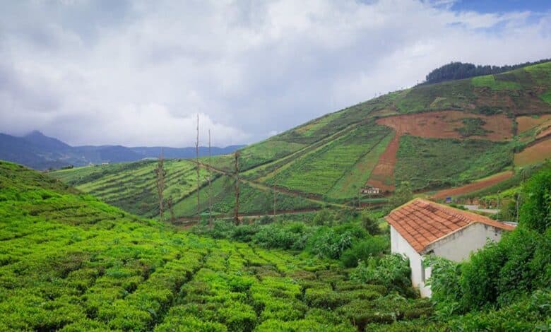 hill station