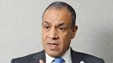 The image of Egypt’s foreign minister Badr Abdelatty