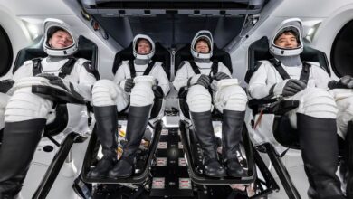NASA's SpaceX Crew10