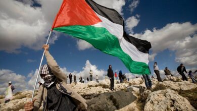 Protester waves large Palestinian flag on rocky hillside under cloudy sky.