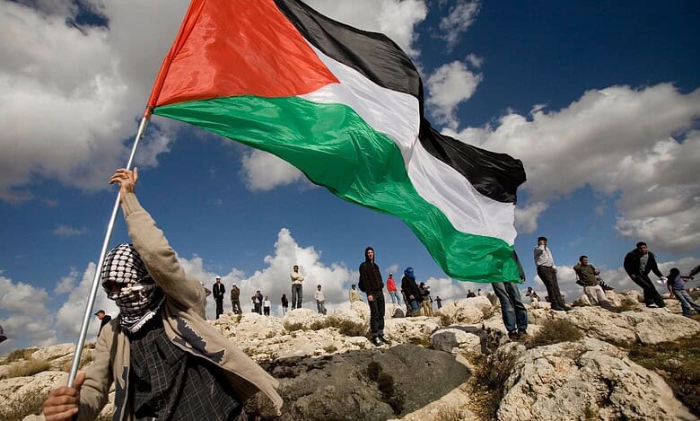 Protester waves large Palestinian flag on rocky hillside under cloudy sky.