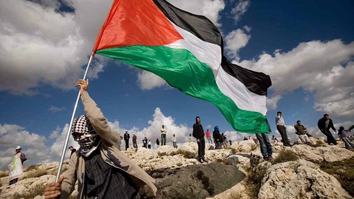 Protester waves large Palestinian flag on rocky hillside under cloudy sky.
