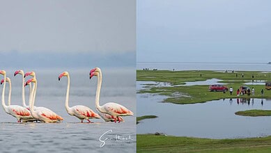 Discover backwaters of Telangana, just 200 km from Hyderabad