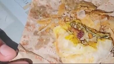 Snake found inside curry puff in Jadcherla, complaint filed