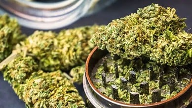 A representational iamge for Ganja