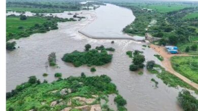 Flood in Manjeera River, Medak