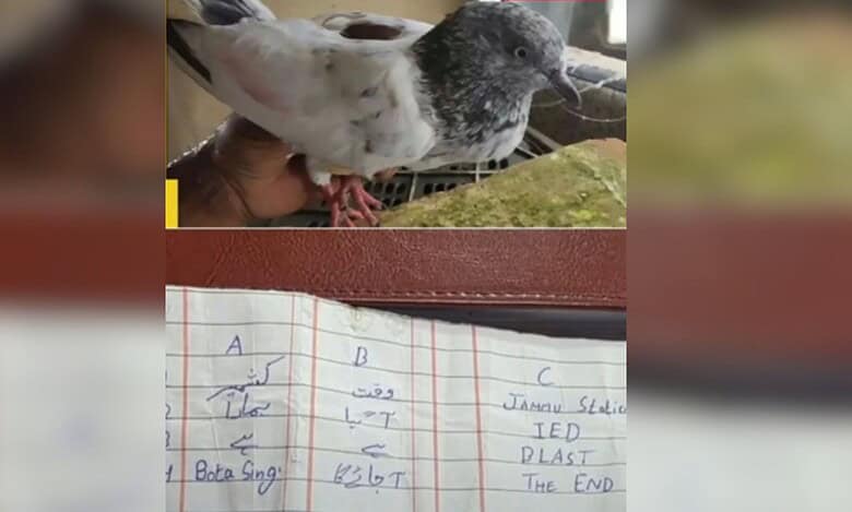 A pigeon was found with a threatening note that read: "Jammu Station IED Blast" at the Indo-Pak border