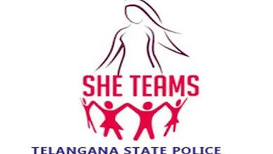 SHE Teams logo