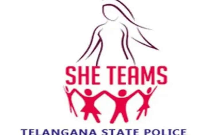 SHE Teams logo