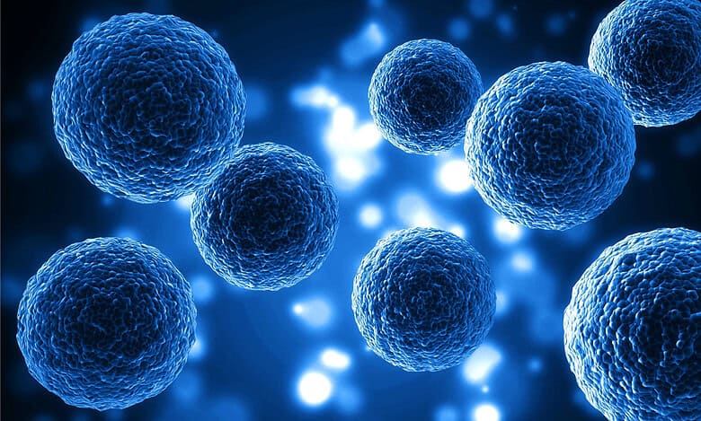 U-turn from cell death to tissue regeneration, programmed cell revival