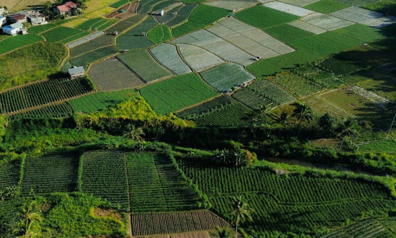 Prime open plots in Hyderabad to go for auction.