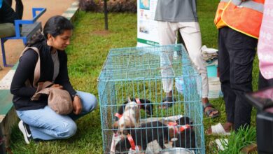 Puppy adoption drive in Hyderabad