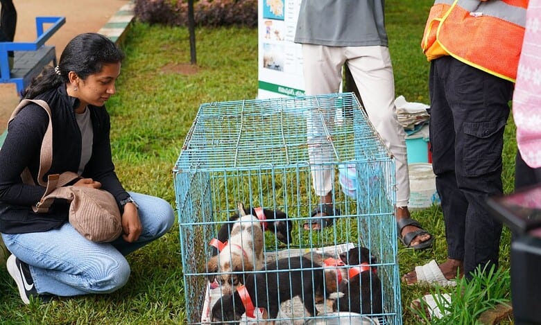 Puppy adoption drive in Hyderabad