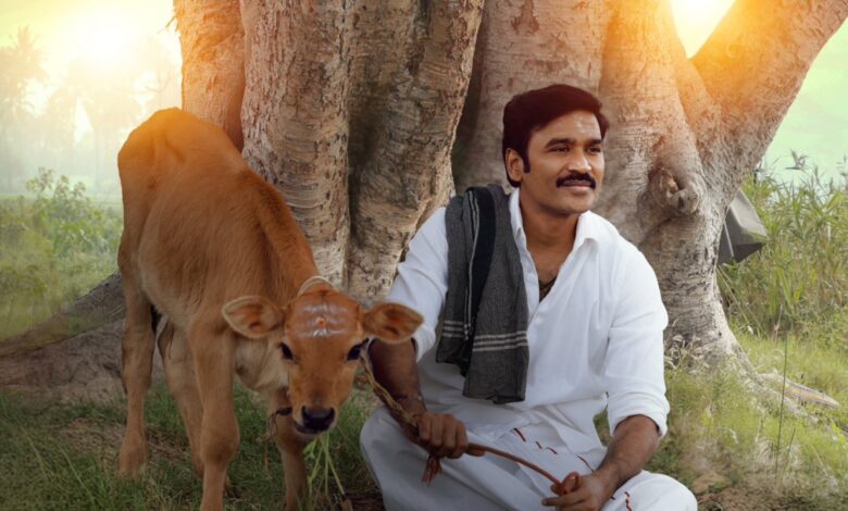 idly Kadai