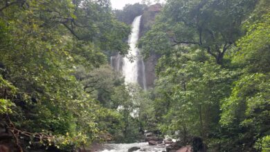 Travel from Hyderabad