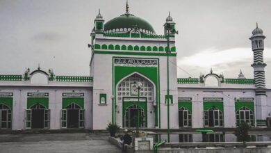 Sambhal Masjid