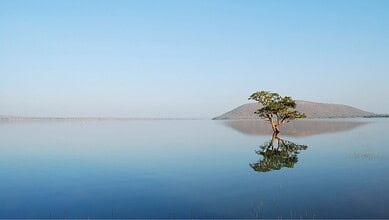 4 Best lakes near Hyderabad that come alive in rainy season