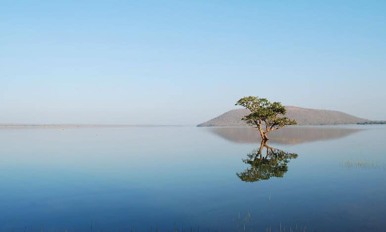 4 Best lakes near Hyderabad that come alive in rainy season