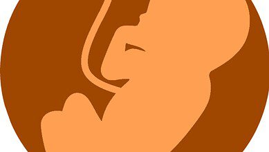 Representational image of a baby in the womb