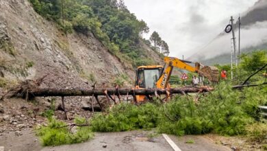 Several roads have been blocked by trees, debris and stones in Uttarakhand due to heavy rainfall