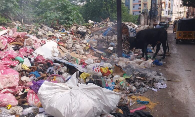 Garbage dump in Aghapura in Hyderabad
