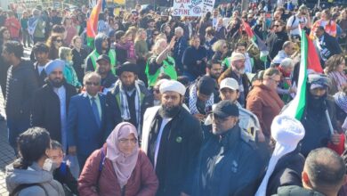 Auckland pro-Palestine march draws 20,000 calling for Gaza ceasefire