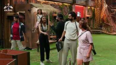 Bigg Boss 19 contestants
