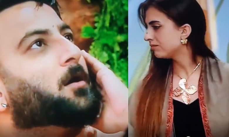 Bigg Boss 19 contestants Shehbaaz Badesha and Farhana Bhatt