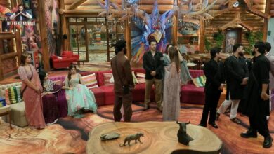 Bigg Boss 19 contestants