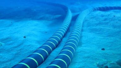 Undersea cables lying on the ocean floor, used for transmitting data across continents.
