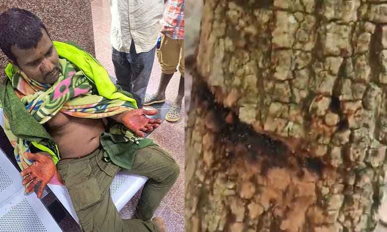 The image shows Thokala Ravi (left), after being attacked by wildlife poachers, and the trunk of a tree where the traps were laid and caught on September 8, 2025.