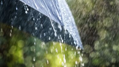 Representational image used to depict rain