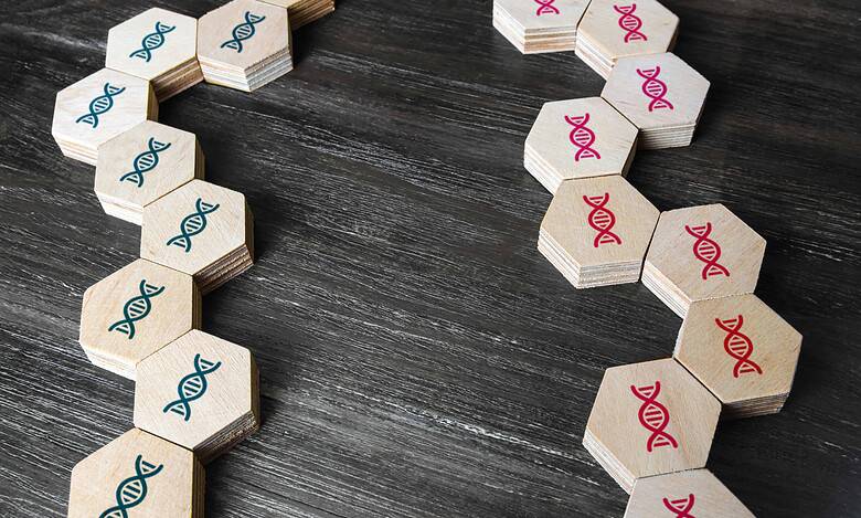 blocks representing genetic comparative study