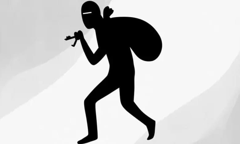 Thief representational image